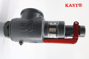 Válvulas de Seguridad de Elevación Completa de Alta Calidad a Precio de Fábrica A28H-16 DN20 Válvula de Seguridad para Calderas/Válvula de Alivio A28H-16 Pr - Product Image 3