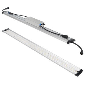 เทปไฟปลูกต้นไม้ LED 2.8umol/<span class=keywords><strong>J</strong></span> LM301H <span class=keywords><strong>Samsung</strong></span> แถบไฟปลูกต้นไม้ DC/เติบโตสเปกตรัมเต็มสเปกตรัมสำหรับผักและดอกไม้ - Product Image 2