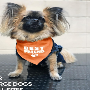Bandana pour chien ajustable unisexe, mouchoir triangle, bavoir jaune imprimé «Born Run», accessoire de vêtements pour animaux de compagnie lavable et mignon - Product Image 5