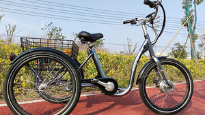 Vélo cargo électrique d'entrepôt UE, tricycle familial néerlandais à 3 roues, 250W, moteur sans balais, cadre en acier, Lastenrad, vélo cargo - Product Image 5