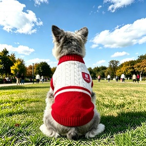 Maglione Spesso in Maglia <span class=keywords><strong>per</strong></span> Cani e Gatti, Abbigliamento <span class=keywords><strong>per</strong></span> Animali Domestici, anche <span class=keywords><strong>per</strong></span> Conigli - Product Image 4