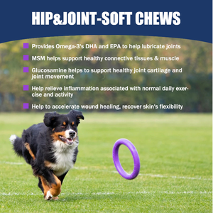 OEM Hip <span class=keywords><strong>and</strong></span> Joint integratore per cani pillole vitaminiche integratore di Private Label cane MSM Joint Health compresse con materiale Halal - Product Image 6