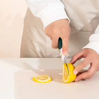 Multifunctioneel Fruitmes Dunschiller Twee In Één Voedingssupplement Mes Fruitschillen Roestvrijstalen Draagbaar Schilmes