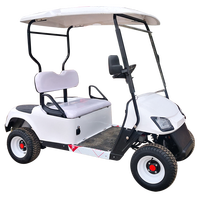 Voiturette de golf électrique 2 places, fabrication directe d'usine, OEM, buggy de golf personnalisé pour parcours de golf, complexe hôtelier, hôtel, communauté, transport personnel