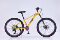 Bicicleta de Montaña de Aluminio de 26 Pulgadas, 11 Velocidades, Suspensión Delantera, Freno de Disco Hidráulico, Todoterreno, para Carreras