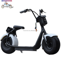 Moto électrique puissante de 1500 W, sportives, système de freinage avancé, 45 km/h, batterie au lithium, conçue pour adultes, professionnelle, urbaine