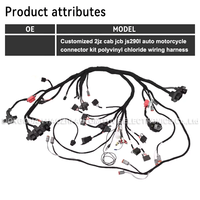 Kit de connecteur électrique personnalisé JS290L pour motocyclette automobile Faisceau de câbles en PVC Assemblage de câbles Pelle 2Jz Cab Jcb