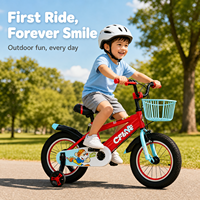 Bicicletta per Bambini 12'' 14'' 16'' 18'' Rossa Blu Rosa Grigia per Ragazzi e Ragazze Sport all'Aperto con Ruote Staccabili
