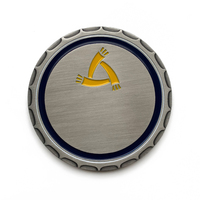 Pièce commémorative personnalisée en alliage de zinc plaqué nickel noir, double face, avec emblème de unité de service aérien et design à remplissage de peinture, vente en gros