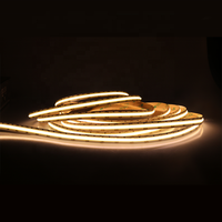 Nouveau Design d'usine décor d'armoire de cuisine Super lumineux pas de tache sombre IP20 bande lumineuse Flexible néon COB