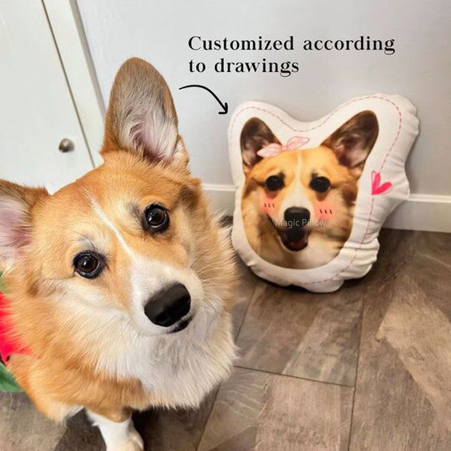 Funda de almohada Dakimakura personalizada de peluche Soluciones