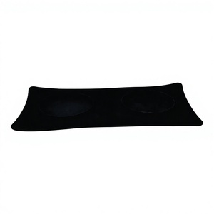 Bols et mangeoires en acier inoxydable pour animaux de compagnie bols de nourriture pour animaux de compagnie antidérapants mat pour chiens et chats tapis d'aspiration Double Diner pour bols d'animaux de compagnie - Product Image 1