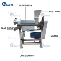 Équipement de fabrication de jus industriel pour les betteraves et oignons naturels de carotte de citron vert avec système de filtration à haute efficacité