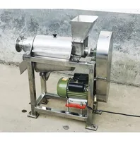 Fruit Pulp Juice Making Machine, Industrial Juice Extractor