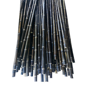 Postes Decorativos de Bambú Morado Anticorrosión para Cercas de Patio y Arreglos Florales Artificiales de Escritorio - Product Image 5