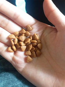 Máquina extruida de Pellets para alimentación de peces flotantes para mascotas y gatos - Product Image 4