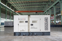 Générateur diesel portable Goldlink Power, fournisseur chinois, 100 kVA/80 kW, générateur de soudage diesel, soudeuse diesel
