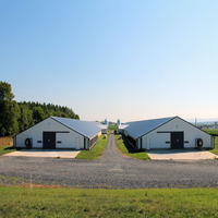 Cages à volailles en acier pour l'élevage, avec structure de maison, pour oiseaux, conceptions automatisées pour poules pondeuses, modernes, portables, simples et utilisables comme poulaillers.