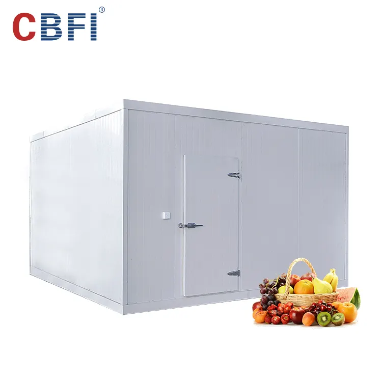 Low Price High Quality Frozen Cold Room/Cold Storage For Meat And Fish