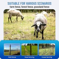 Clôture de ferme galvanisée pour bétail, clôture de champ pour bovins, moutons, chèvres, grillage tissé, résistant à la rouille, clôture de ranch