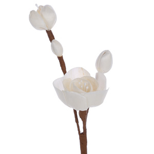 Aromathérapie, <span class=keywords><strong>Fleurs</strong></span> <span class=keywords><strong>vivaces</strong></span>, Bouquets de roses, <span class=keywords><strong>Fleurs</strong></span> de prunier, Branches à plusieurs têtes, Camélia - Product Image 5