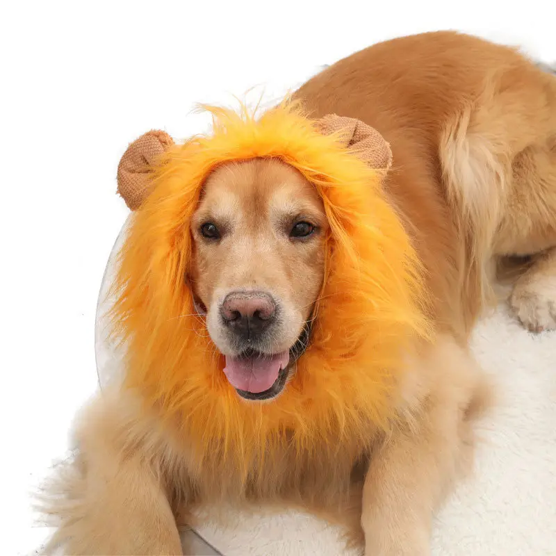 小型大型犬フェスティバルパーティーファンシーヘア犬服用ペットウィッグライオンたてがみコスチュームメーカー卸売