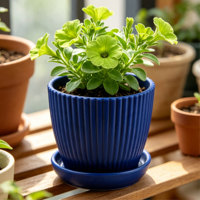 Petit pot de fleurs circulaire moderne en PP avec trous de drainage et plateau d'arrosage - Durable, capacité de 0,32 L pour la maison, le bureau, la terrasse - Idéal pour les succulentes