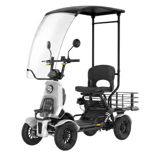 Voitures électriques compactes et élégantes ELECARRY, populaires sur la plateforme, avec un corps blanc. - Product Image 1