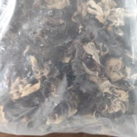 Champignons noirs séchés, champignons oreilles de chat blancs et croustillants, vente en gros pour salades et sautés