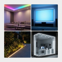Tira de Luces LED Inteligentes Programables TRX Garden, DMX512, Flexibles, con Control Remoto USB, IP67, para Paisajismo