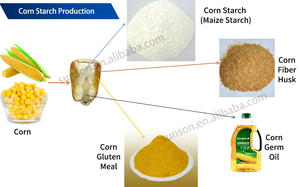 Enzyme de traitement du gluten de maïs dans la production d'amidon de maïs pour un rendement élevé de farine de gluten de maïs et réduisant l'humidité du gâteau de filtre protéique - Product Image 2