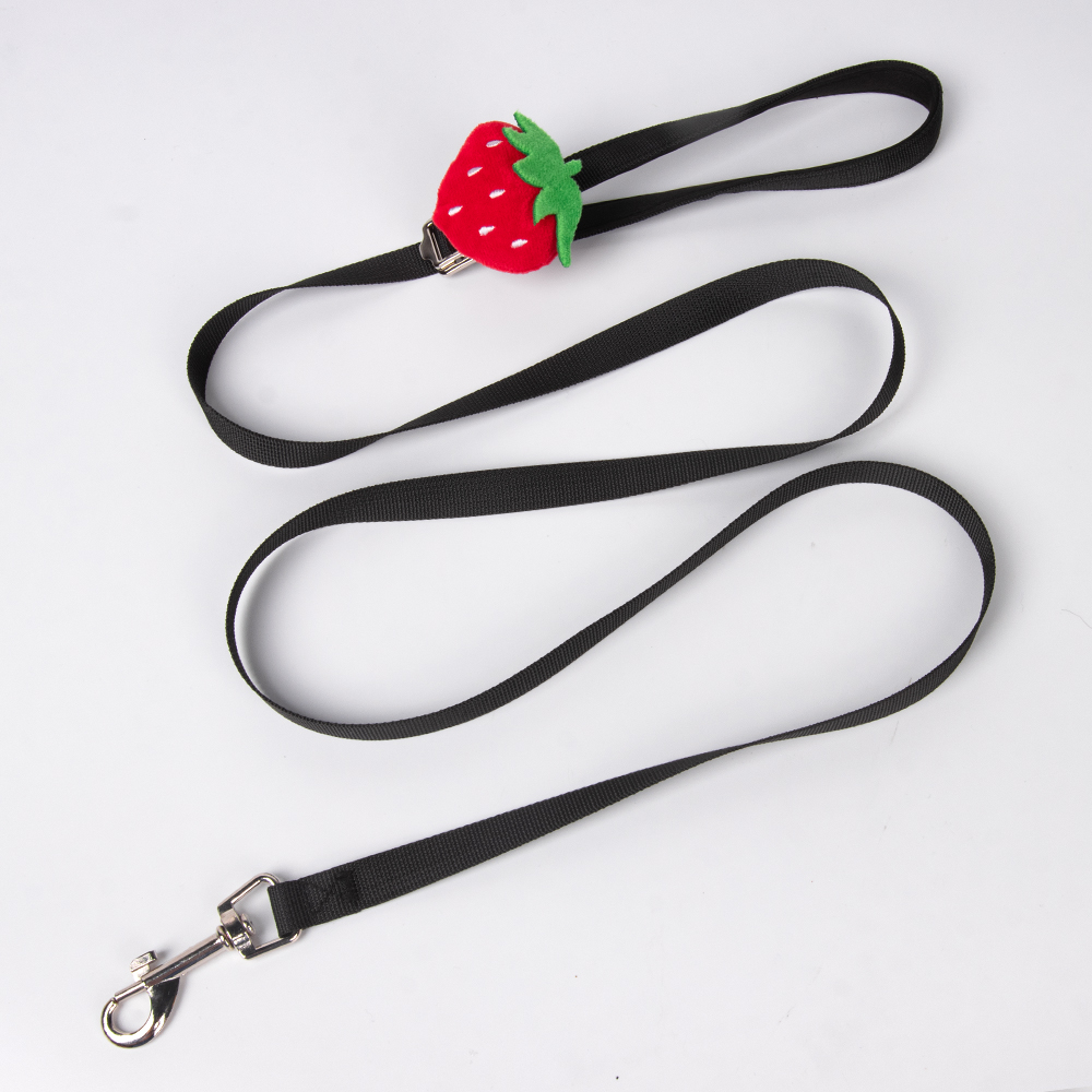 Black -Leash