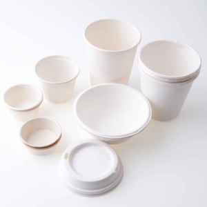 Platos de Papel Compostables Estilo Americano, Vajilla Desechable para Camping, Patrón Personalizado, Acabado Pigmentado, Modelo FSC020 - Product Image 3