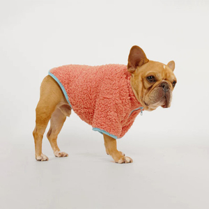 Qiqu Pet Supplies, vêtements pour animaux de compagnie, nouveau pull pour <span class=keywords><strong>chien</strong></span> de luxe personnalisé, veste zippée, <span class=keywords><strong>manteau</strong></span> en polaire pour animaux de compagnie, pour chiens, bouledogue français, pug, vêtements pour chiens - Product Image 3