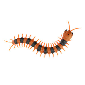 รถของเล่นไฟฟ้าไล่แมลงรูปแมว,รีโมตคอนโทรลแบบอินฟาเรดตะขาบขนาดใหญ่ควบคุมด้วยรีโมท - Product Image 3