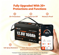 Batterie solaire au lithium Enlzh 12,8 V 160 Ah, cellule Lifepo4, garantie 5 ans, pour mini-onduleur domestique, électronique marine avec Bluetooth