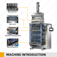 Machine d'emballage automatique multi-voies pour granulés de thé au gingembre et aux herbes, sachets individuels de thé pomme-cannelle-hibiscus