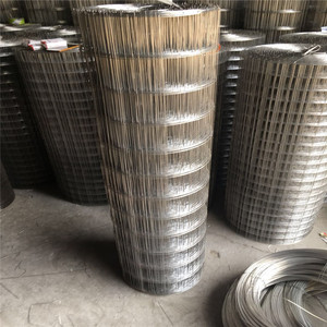 1/2 "X1/2" 304 thép không gỉ Hàn lồng dây gia cầm lưới, mạ kẽm hàn dây lưới cho động vật hàng rào - Product Image 3