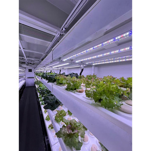 AGG Container Agricolo Verticale da 40 piedi con Telaio in Acciaio per Microgreens, Sistema Idroponico per Coltivazione di Lattuga, Produttore - Product Image 5