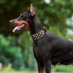 NiBao <span class=keywords><strong>Collar</strong></span> de perro de cuero PU con pinchos Ancho ajustable duradero para razas pequeñas, medianas y grandes - Product Image 2