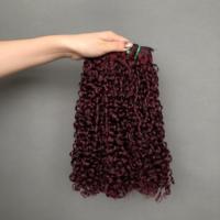 Haute Qualité Double Dessiné Vierge Cuticule Aligné Vietnam Cheveux Bundles Funmi Pixie Curl 99J Couleur