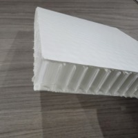 Panneau composite sandwich en nid d'abeille en plastique PP en fibre de verre haute pression pour raquettes de pickleball