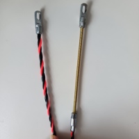 Kit d'extracteur de câble de ruban de poisson de 16,4 pieds Extracteur de câble électrique PET de 6mm à travers le dispositif de guidage de fil mural Enfileur de câble de poisson