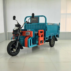 Triciclo Eléctrico para Adultos 2025, Venta Caliente en China, Motocicleta de Tres Ruedas, Triciclo de Carga con Batería Opcional - Product Image 2