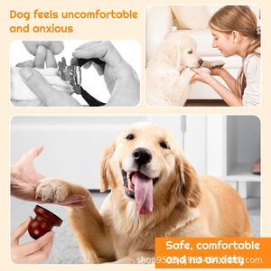 En stock : griffoir à ongles rond en bois pour chien, lime/râpe à ongles pour chien, lime/râpe à ongles amovible en bois pour animaux de compagnie. - Product Image 4