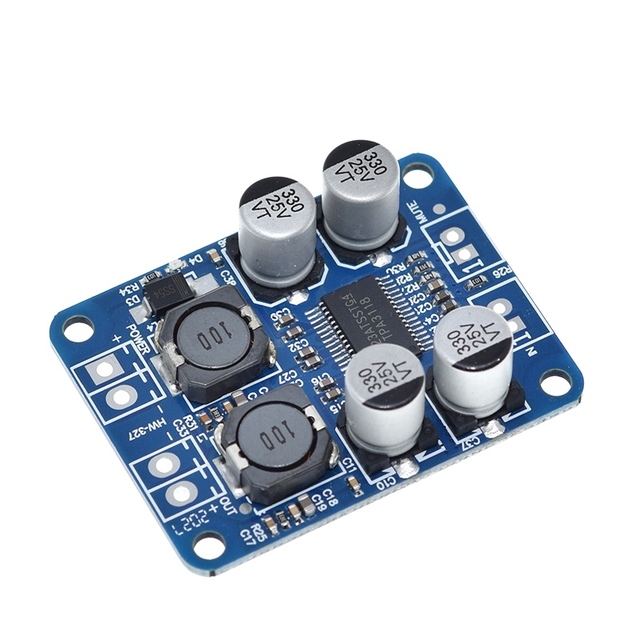 TZT DC 12V-24V TPA3118 60W Mono Digital Audio Power Amplifier Board Amp Module
