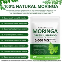 Complément alimentaire en gélules d'extrait de feuilles de Moringa, soutien digestif, capsules de superaliment vert Moringa pour le bien-être général