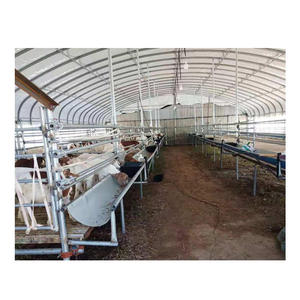 Kết cấu thép chế tạo kết cấu thép đúc sẵn cowshed bò sữa bò gia súc trang trại đổ - Product Image 4