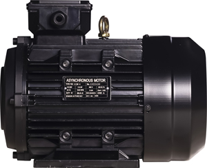 Ba pha một pha không đồng bộ 910rpm 1400rpm trục rỗng động cơ điện - Product Image 5