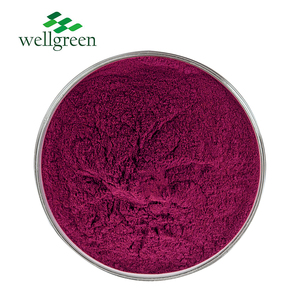 Poudre d'extrait de myrtille de solubilité dans l'eau élevée d'approvisionnement d'usine poudre de jus de fruits de myrtille framboise 25% anthocyanine
